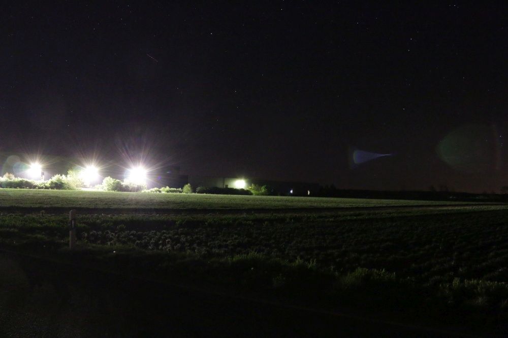 Lichtverschmutzung - kein Lebensraum mehr für nachtaktive Tiere