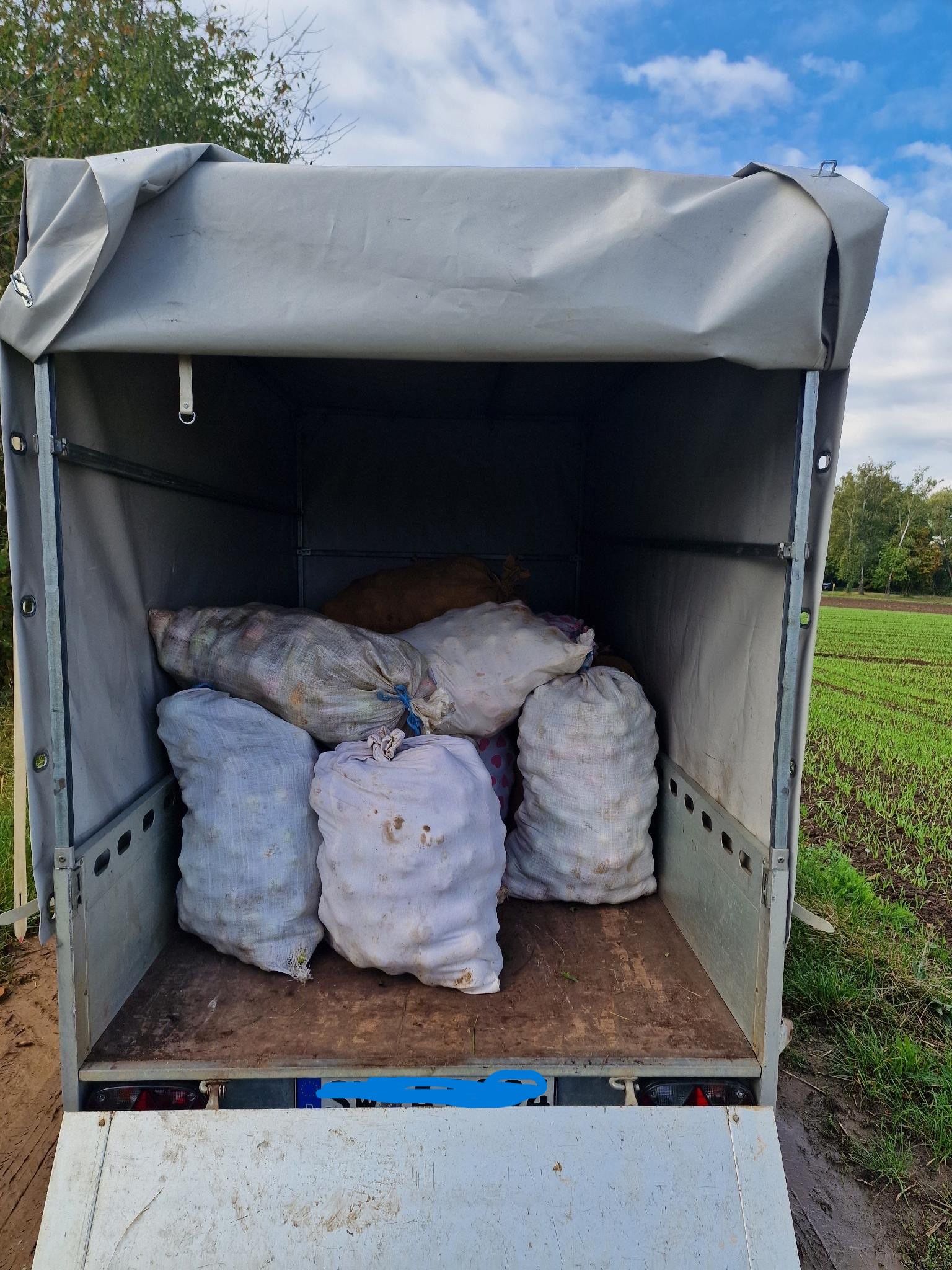 Apfelernte Transport Auf einem Autoanhänger stehen Säcke gefüllt mit Äpfeln